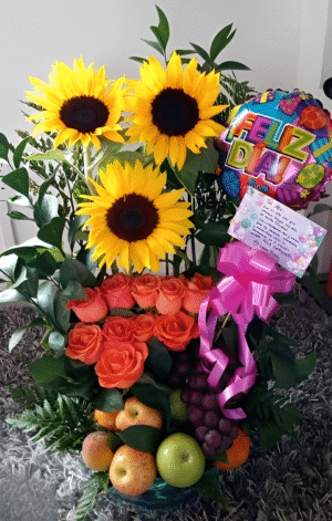 Trio girasoles frutales R81